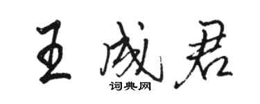 駱恆光王成君行書個性簽名怎么寫