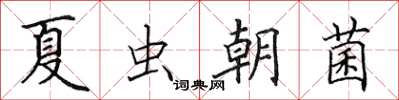 田英章夏蟲朝菌楷書怎么寫