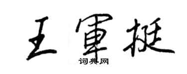 王正良王軍挺行書個性簽名怎么寫