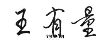 駱恆光王有量行書個性簽名怎么寫