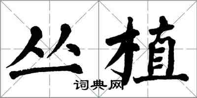 翁闓運叢植楷書怎么寫