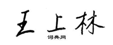 王正良王上林行書個性簽名怎么寫