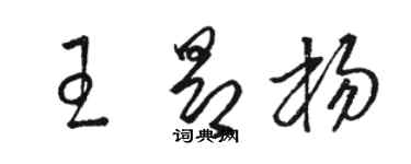 駱恆光王昂楊草書個性簽名怎么寫