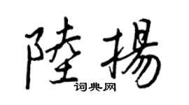 王正良陸揚行書個性簽名怎么寫