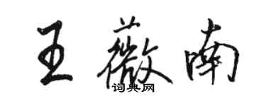 駱恆光王薇南行書個性簽名怎么寫