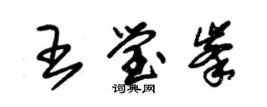 朱錫榮王瑩峰草書個性簽名怎么寫