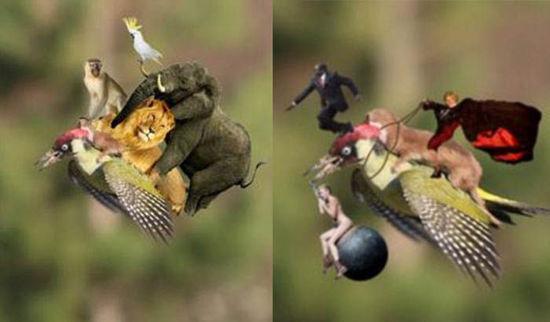 啄木鳥背著黃鼠狼在飛?結果被網友玩壞了