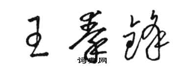 駱恆光王秦鋒草書個性簽名怎么寫