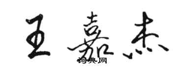 駱恆光王嘉傑行書個性簽名怎么寫