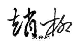 駱恆光趙柳草書個性簽名怎么寫