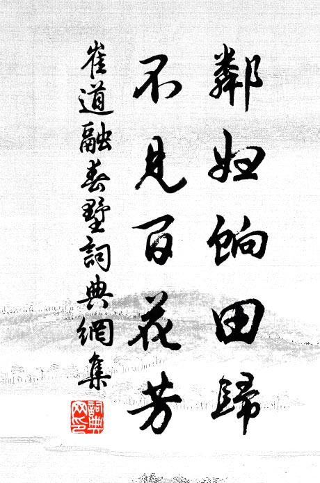 不因風雨壁寧隳,雅志安和萬言中 詩詞名句