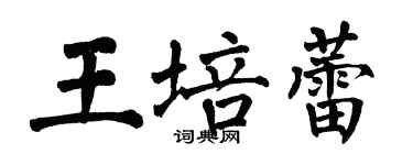 翁闓運王培蕾楷書個性簽名怎么寫