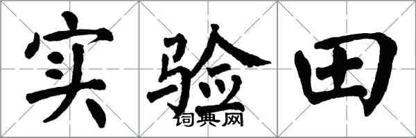 翁闓運實驗田楷書怎么寫