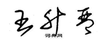 朱錫榮王升琴草書個性簽名怎么寫
