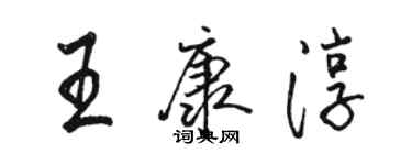 駱恆光王康淳行書個性簽名怎么寫