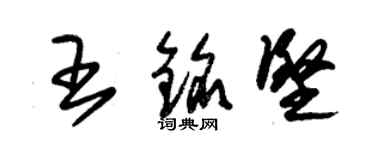 朱錫榮王銘堅草書個性簽名怎么寫