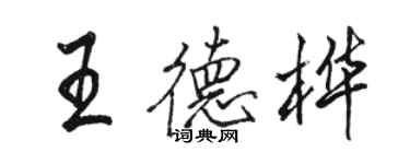 駱恆光王德樺行書個性簽名怎么寫