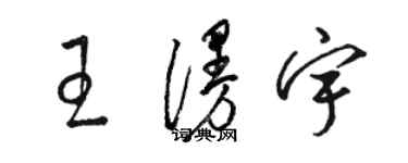 駱恆光王漫宇草書個性簽名怎么寫