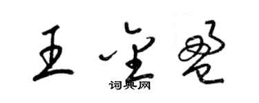 梁錦英王金盈草書個性簽名怎么寫