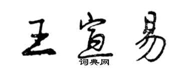 曾慶福王宣易行書個性簽名怎么寫