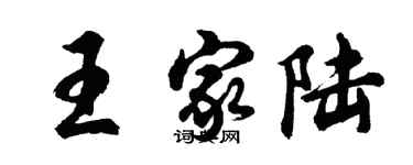 胡問遂王家陸行書個性簽名怎么寫