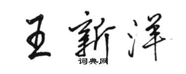 駱恆光王新洋行書個性簽名怎么寫