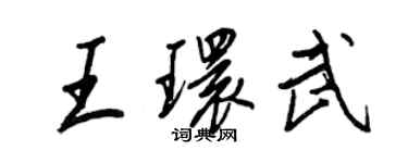 王正良王環武行書個性簽名怎么寫