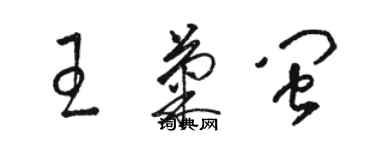 駱恆光王菊閩草書個性簽名怎么寫