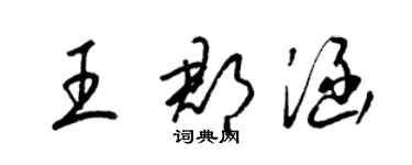 梁錦英王郡涵草書個性簽名怎么寫