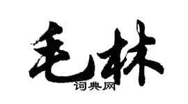 胡問遂毛林行書個性簽名怎么寫