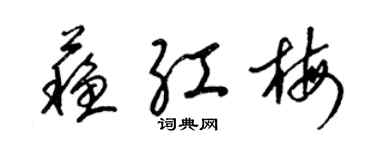 梁錦英蘇紅梅草書個性簽名怎么寫