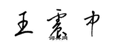 梁錦英王震中草書個性簽名怎么寫