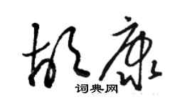 駱恆光胡康草書個性簽名怎么寫