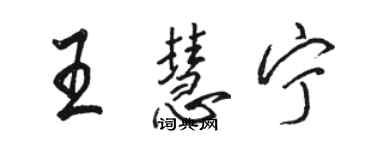 駱恆光王慧寧行書個性簽名怎么寫
