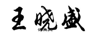 胡問遂王曉盛行書個性簽名怎么寫