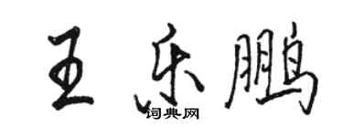 駱恆光王樂鵬行書個性簽名怎么寫