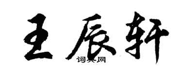 胡問遂王辰軒行書個性簽名怎么寫