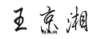 駱恆光王京湘行書個性簽名怎么寫