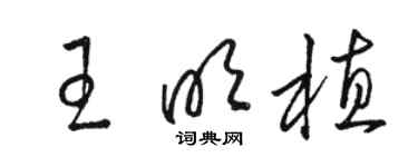 駱恆光王明植草書個性簽名怎么寫