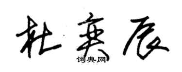 朱錫榮杜奕辰草書個性簽名怎么寫