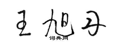 駱恆光王旭丹草書個性簽名怎么寫