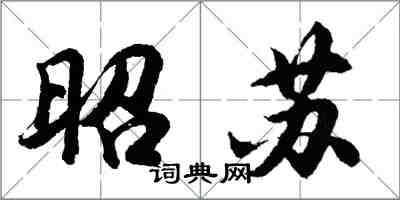 胡問遂昭蘇行書怎么寫