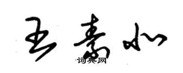 朱錫榮王素北草書個性簽名怎么寫