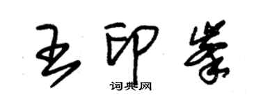 朱錫榮王印峰草書個性簽名怎么寫