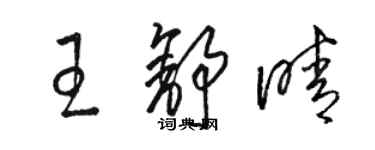 駱恆光王舒晴草書個性簽名怎么寫