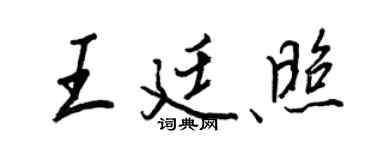 王正良王廷照行書個性簽名怎么寫