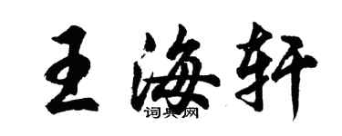 胡問遂王海軒行書個性簽名怎么寫