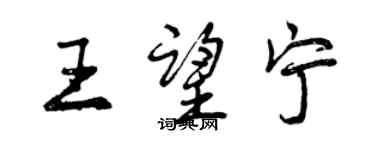 曾慶福王望寧行書個性簽名怎么寫