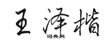 駱恆光王澤楷行書個性簽名怎么寫