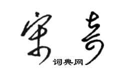 駱恆光宋奇草書個性簽名怎么寫